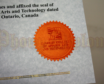 Fake Diploma International Embossed Red Seal